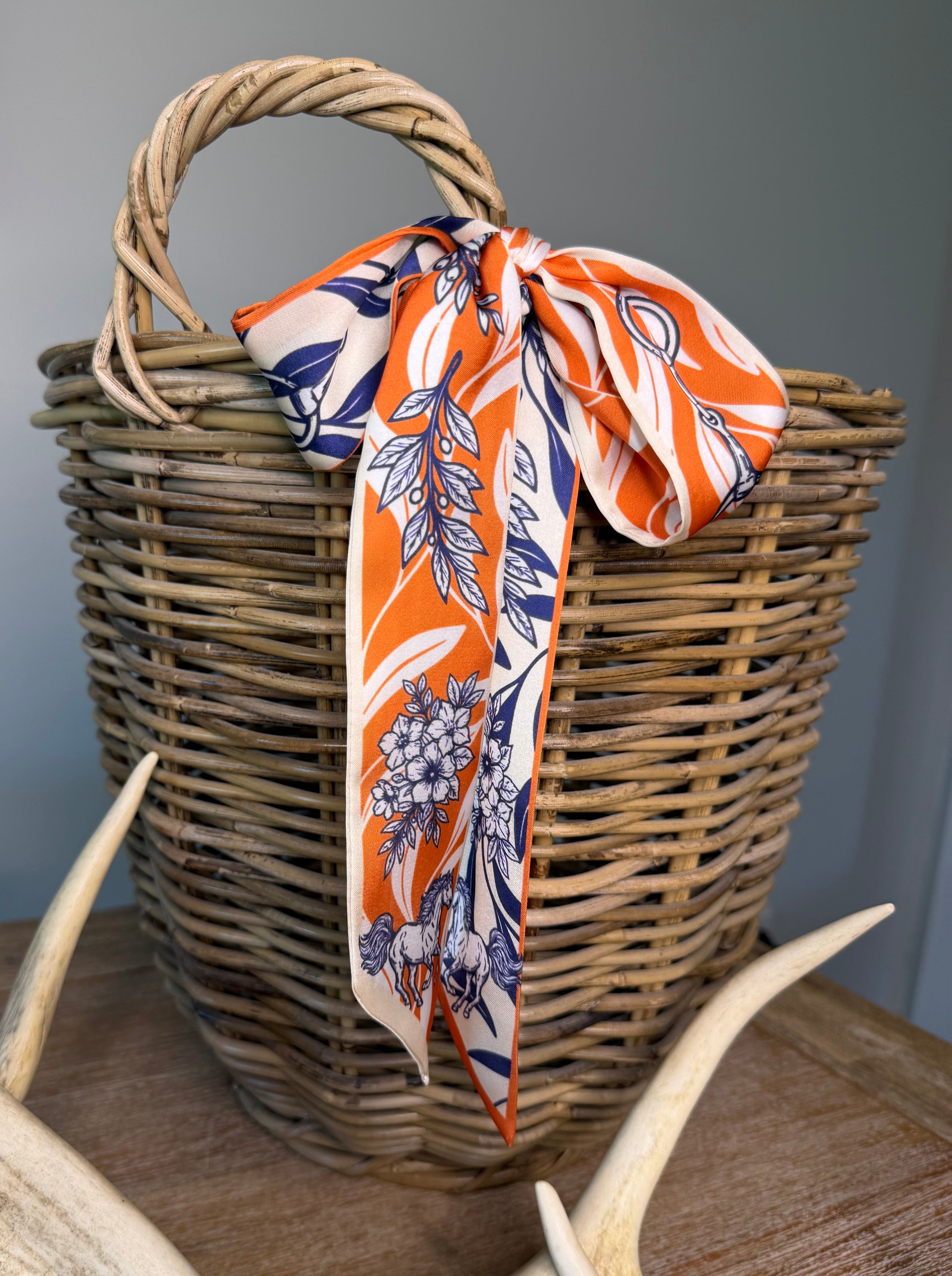 Blue Orange Western Rope Silk Twilly